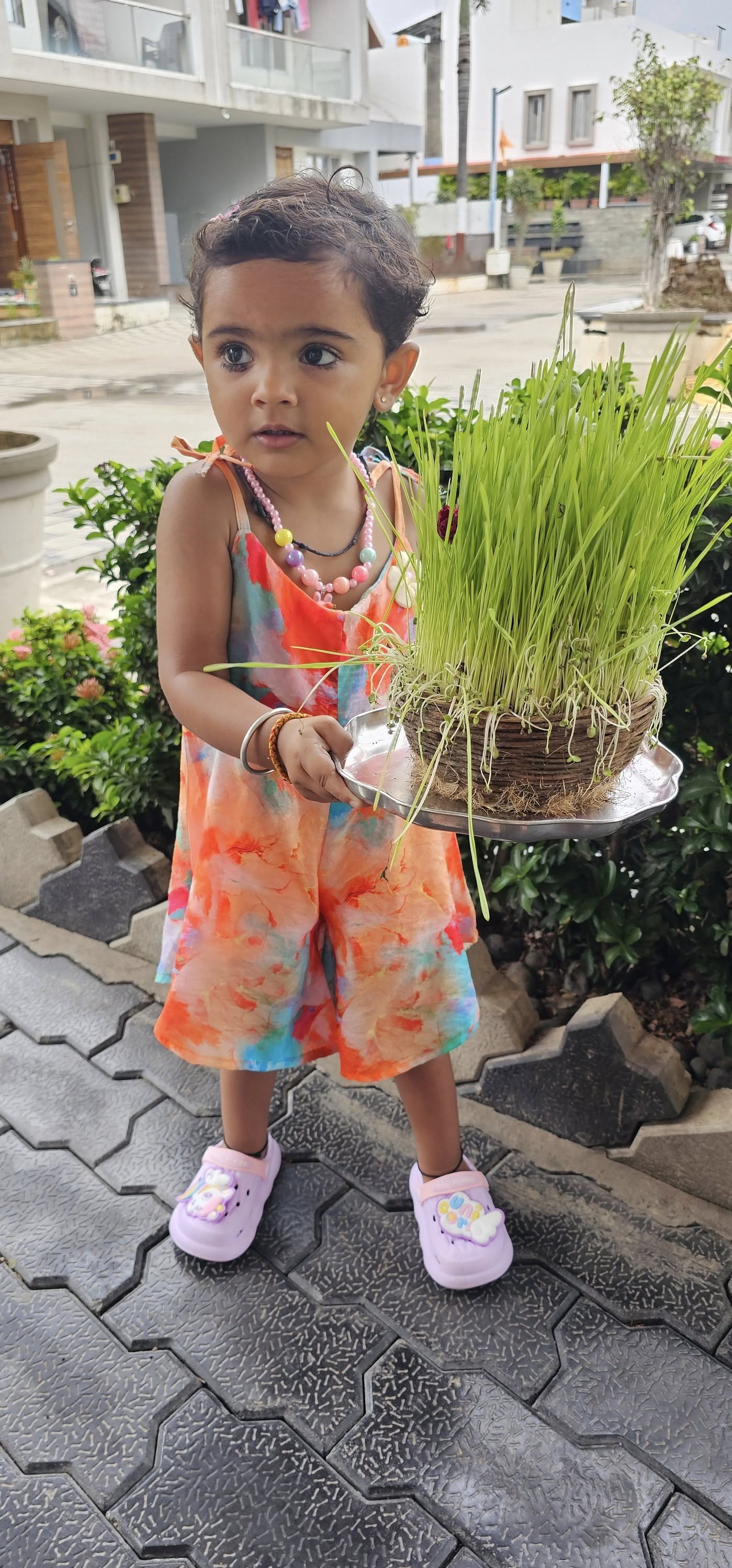 તા.૨૪-૦૧-૨૦૨૫ ના રોજ નેશનલ ગર્લ ચાઇલ્ડ ડે, ટૂંકમાં દીકરીઓ દિવસ છે.